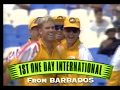 Taylor's Heroes - Waugh in the Windies 1995