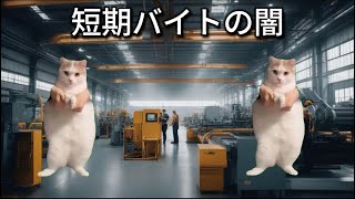 【猫ミーム】　短期バイトの闇　#猫ミーム #猫 ＃猫マニ#猫meme#cat #cats