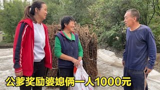 家里芝麻大丰收，公爹高兴给婆媳俩一人1000元奖励，让过年买新衣