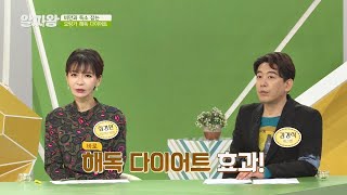 몸속 독소 빼주는 ′해독′ 식재료 ☞ ′모링가′ TV정보쇼 알짜왕(alzzaking) 121회