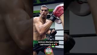 Amirxon Alixo’jaev muxlislari qanisilar? #shorts #uzb #mma