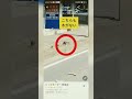 ガチやべーじゃん ビッグモーター街路樹問題をgoogleマップで確認してみた shorts ビッグモーター トラブル