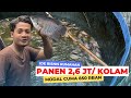 PELUANG BISNIS! Untung JUTAAN dari Budidaya Pembesaran Ikan Gurame di Kolam Terpal