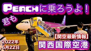 【 関西国際空港 】平日の午後の関空はどんな感じ？人もまばらな関西国際空港で、一番の盛り上がりをみせるピーチ！今夜、そのPeachに乗って飛び立ちます！関空第2ターミナルが熱い！