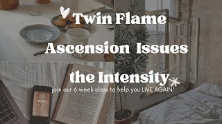 Twin Flame Ascension Intensity ! 💕