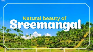 Natural beauty of sreemangal / পাখির চোখে শ্রীমঙ্গল With TEND Text