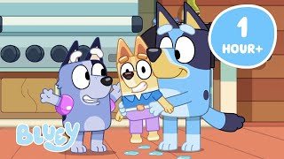 Live Full Episodes From Series 1 Bluey Bluey Official Channel Mp3 Mp4