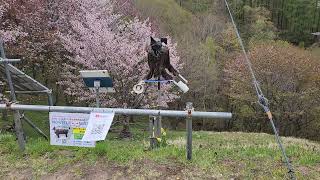 空知郡奈井江町 にわ山森林自然公園 2