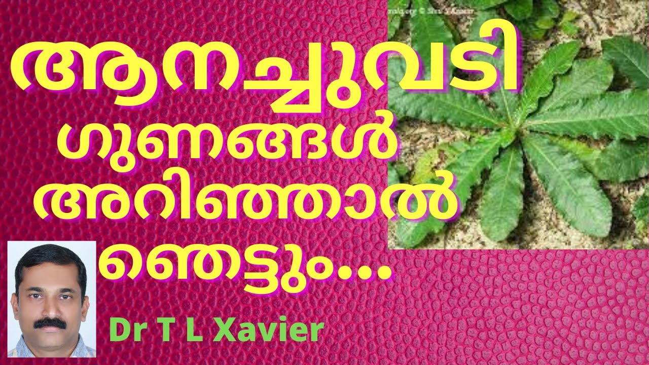 Home Remedies for Heart Diseases and Piles | Anachuvadi Malayalam Dr T L Xavier