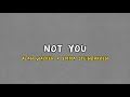 Alan Walker x Emma Steinbakken  Not You (Lyrics Video)