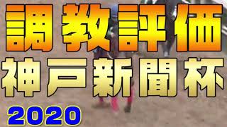 【神戸新聞杯2020（調教評価）】調教からコントレイルのデキは？今週の好調馬は？最終追い切り（直前追い切り）＋1週前追い切りの走法や強弱・フットワークから動きの良さや調整内容を解説しました。