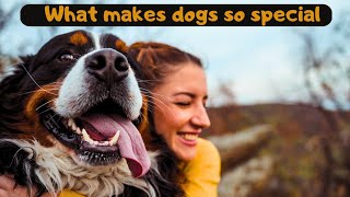 What makes the bond between dog and owner so special?