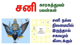 சனி பகவான் காரகத்துவம் பலன்கள் | Sani Bhagavan Karagathuvam palangal in Tamil