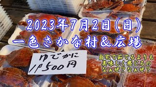 【2023年7月2日】一色さかな村とさかな広場の風景（貝類と甲殻類が美味しい季節になりました）調理動画用にオニオコゼを購入