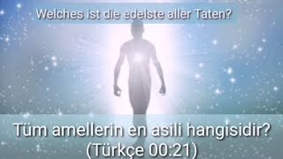 Die edelste Tat - 313 Hadis