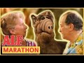 ALF & the Ochmoneks | ALF | FULL Episode Marathon