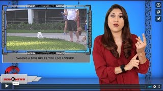 Owning a dog helps you live longer (ASL - 10.8.19)