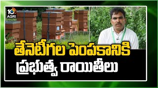 తేనెటీగల పెంపకానికి ప్రభుత్వం రాయితీలు | Loans And Subsidies On Beekeeping In India | 10TV News