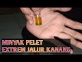 Pengetesan Minyak Pelet Extreme | Jalur Kanan (Hikmah)