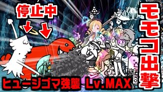 【にゃんこ大戦争】初登場！モモコ出撃でヒュージゴマ強襲クリアなるか！？【本垢実況Re#1259】