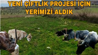 YENİ ÇİFTLİK PROJEMİZ İÇİN TARLAMIZI ALDIK~SİSTEM YAKIN ZAMANDA DEĞİŞECEK