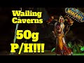 Classic WoW Gold Farming | Wailing Caverns | Revisited | 50g P/H | Roly The Holy Paladin