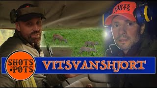 VAKJAKT - Lubbe och Danyel vakar på vitsvanshjort