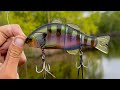 This Lure CATCHES FISH!