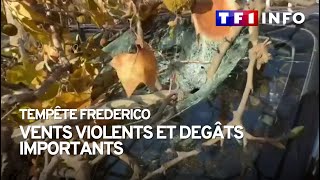 Tempête Frederico : vents violents et dégâts importants