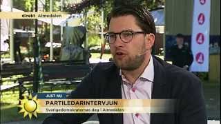 Intervju med Jimmie Åkesson - Nyhetsmorgon (TV4)
