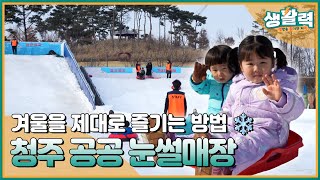 렛잇고~ 도심 속에서 즐기는 겨울왕국 ⛄ | MBC충북 | 250108