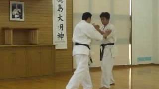 KYOKUSHIN Shihan Ohishi Demo