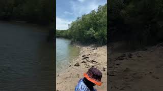 Rapid Creek fishing