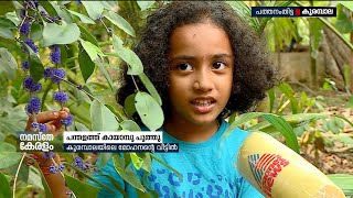 'കായാമ്പൂ കണ്ണില്‍ വിടരും' പൂത്തുലഞ്ഞ് കായാമ്പു | Memecylon umbellatum | കാശാവ്