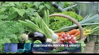 ¿Cómo cuidar mi alimentación y el medio ambiente al mismo tiempo?