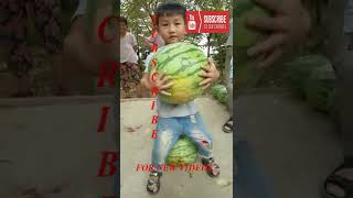 Farm Fresh Ninja Fruit Tik Tok China EP 14