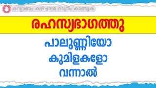 രഹസ്യഭാഗത്തു പാലുണ്ണിയോ കുമിളകളോ വന്നാൽ