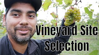 How to choose your vineyard location site