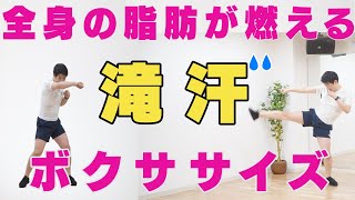 【ボクササイズ 】音楽に合わせてスクワット\u0026キック、パンチで脂肪燃焼！マンションＯＫ！【痩せる4分】