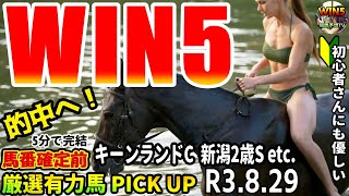 WIN5競馬予想 R3.8.29win5キーンランドカップ,新潟2歳ステークス etc. 馬番確定前有力馬WIN5予想