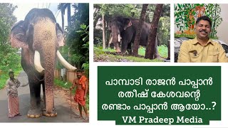 Pampadi Rajan പാപ്പാൻ രതീഷ് പറഞ്ഞത് കള്ളമോ..?Elephant Story VM Pradeep Media