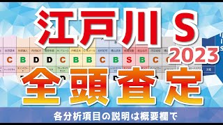 江戸川ステークス（2023）を能力・血統で全頭査定！（能力ランク＋父系ランク＋牝系ランクの3項目を集計）～　軸馬はジョッキーの勢いに乗ったあの馬！