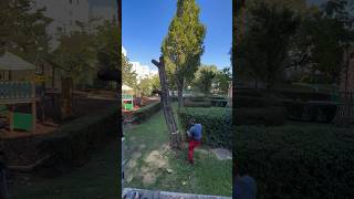 BU HAFTA BITTI KAZASIZ HAFTAYA DEVAMKEE #viral #fypシ #keşfet #keşfetbeniöneçıkar #nature #vlog #baum