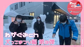 【第３弾犬っこまつり】雪の秋田犬見にきてねー