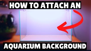 How to EASILY attach a Background to your Aquarium!