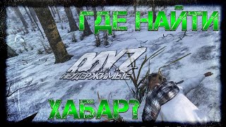 #3 ГДЕ НАЙТИ ХАБАР? ВЫЖИВАНИЕ НА DayZ НЕУДЕРЖИМЫЕ патч 1.06