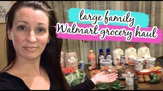 $52 WALMART GROCERY HAUL FOR A FAMILY OF 7 ON A BUDGET