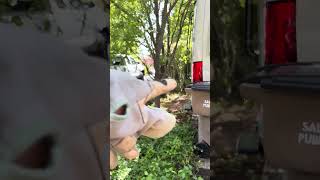 Eric Swanson spring clean up 2026