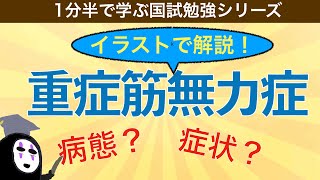 1分半で学ぶ国試勉強シリーズ「重症筋無力症とは」症状や原因を解説！