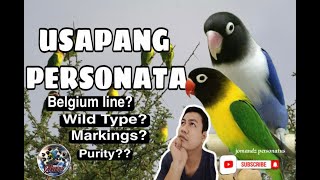 USAPAN SA PERSONATA |  BIRD TALK